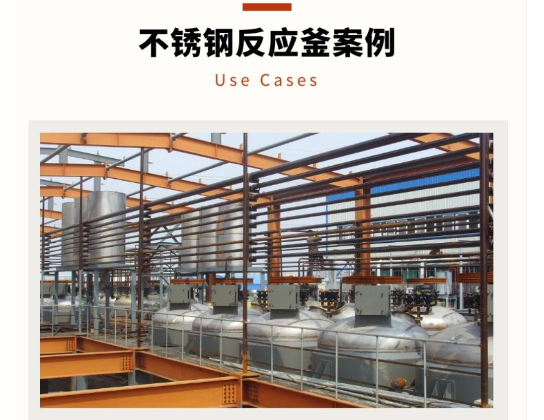 案例分享-盐酸不锈钢反应釜